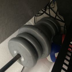 Weights With Bench press/curl Bar