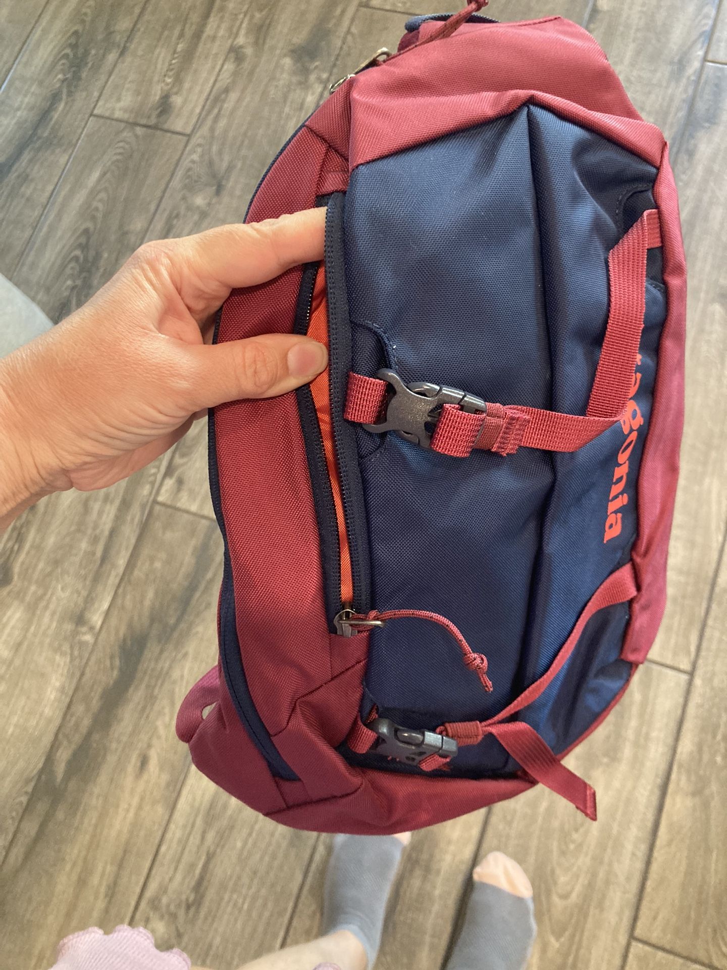 Patagonia Hiking Backpack
