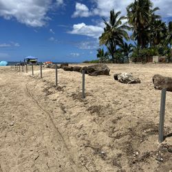 Land Clearing,mason Work, Framing Etc