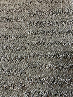Carpet Remnant