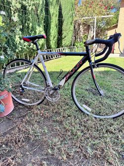 Fuji road bike (L)