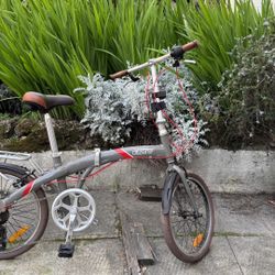 Citizen Seoul Folding Bike