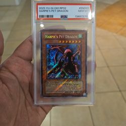Gem Mint Psa 10 Harpies Pet Dragon 