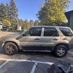 Ford Escape XLT