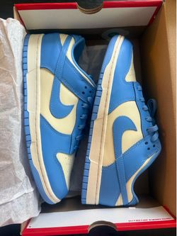 Nike dunk low retro