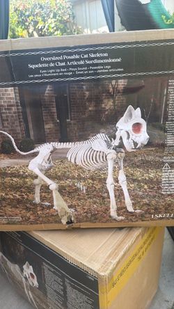 5 feet Skeleton cat