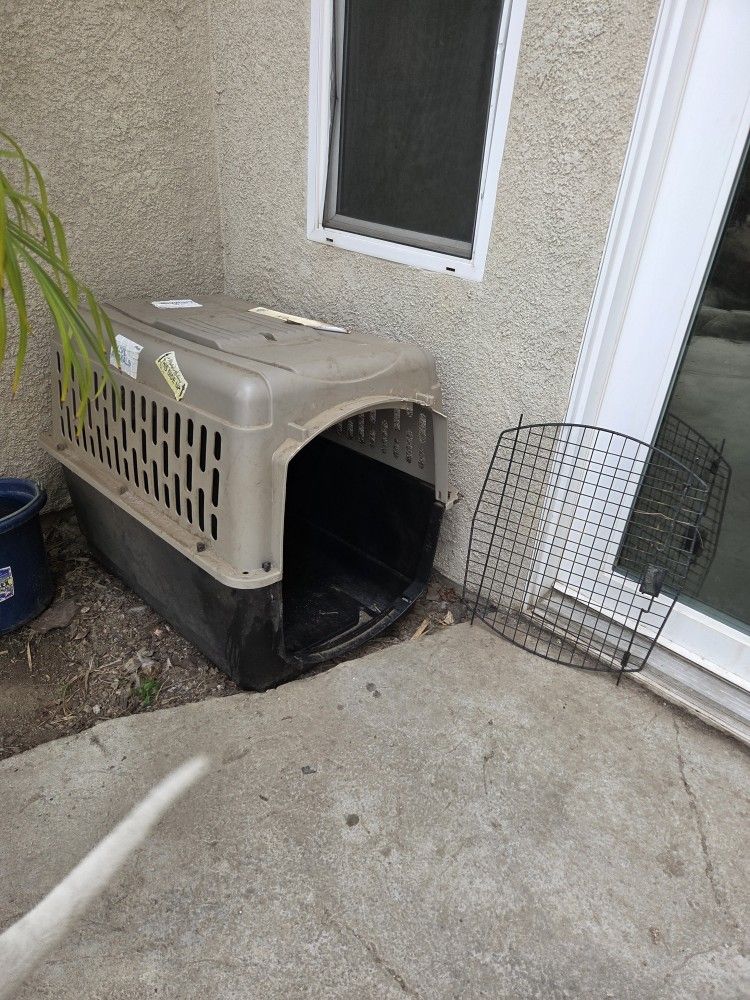 XL Dog House