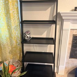 Ladder Shelves 