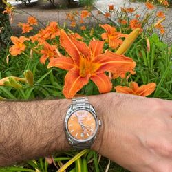 2024 Aqua Terra saffron Color 38mm 