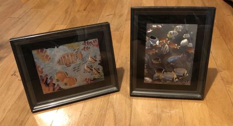 2 8x10 fish pictures