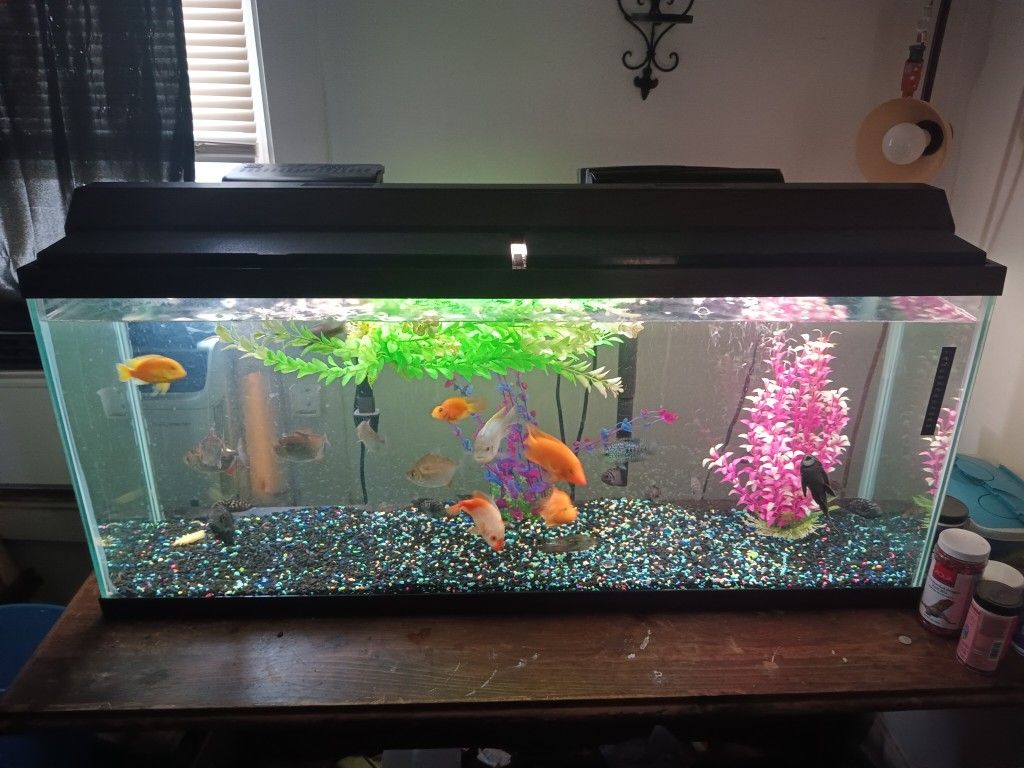 55 Gallon Fish Tank New Filter 