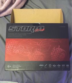 Storm Off-Road 1:18 Scale RC Truck
