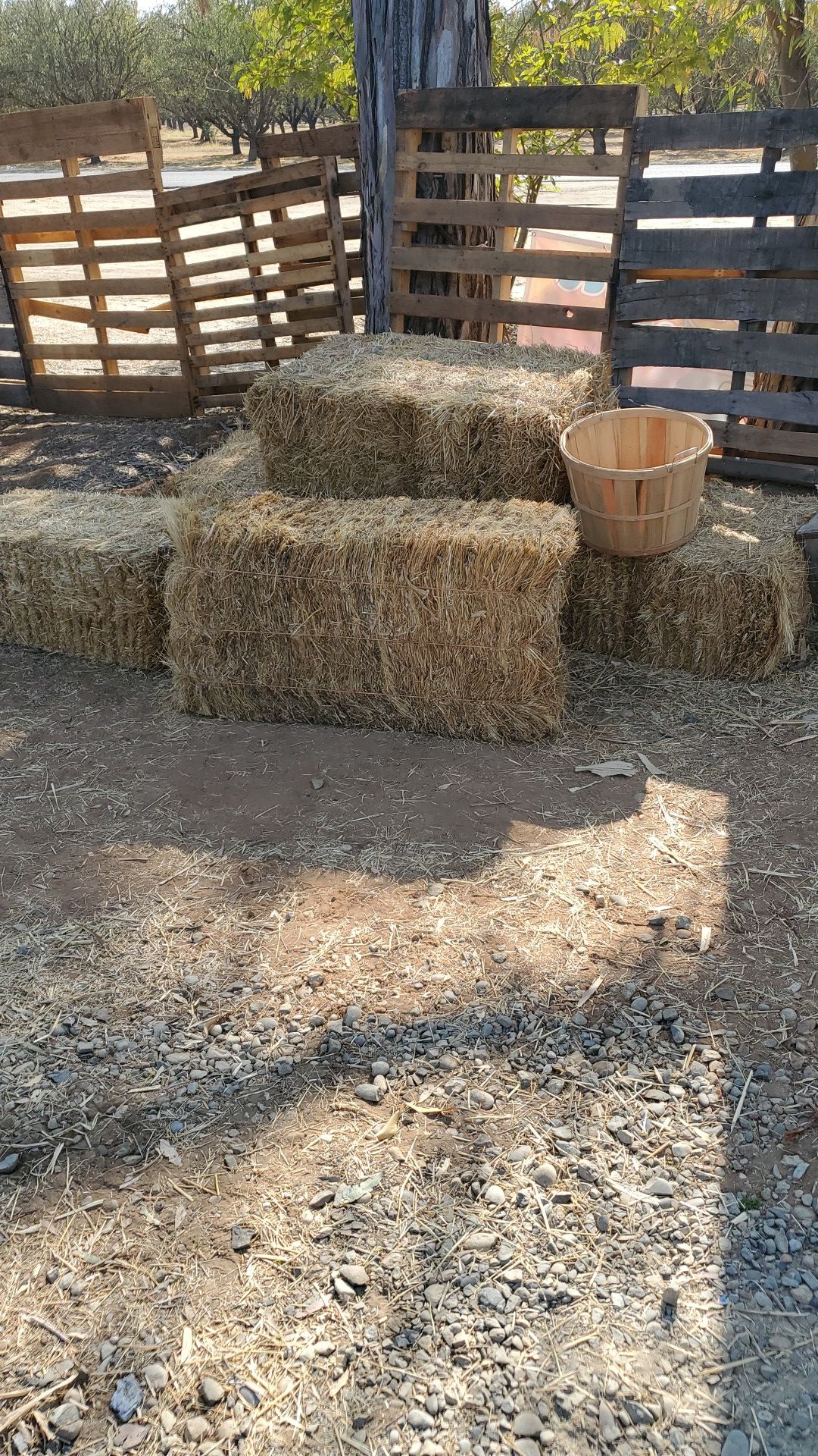 Hay/ straw bales clean