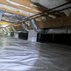 Free Pest/Termite/Crawl/Moisture Inspection