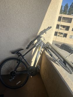 Diamondback