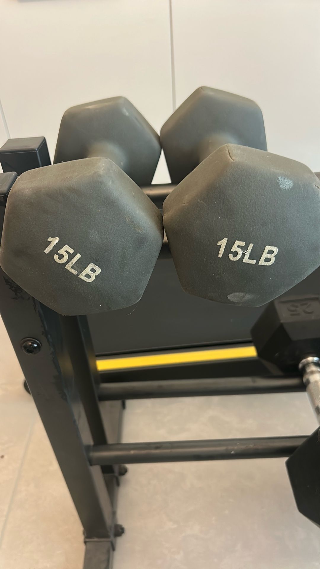 Pair Of 15 lbs Dumbbells