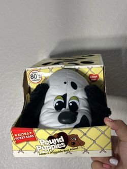 Pound Puppy in box