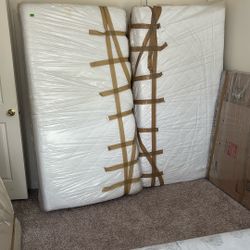 2 Ea Single Mattresses 