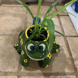 Adorable Frog Mug With Baby Spider Plant