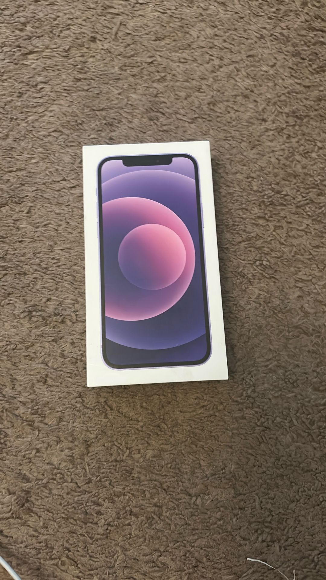 iPhone 12 Box