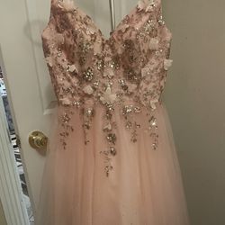 Light Pink Dama Dress