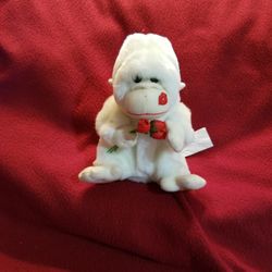 Valentine Singing White Gorilla