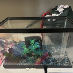 Fish Tank