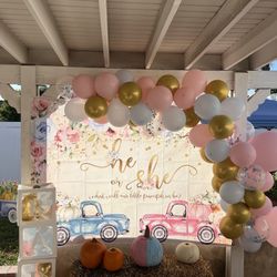 Gender Reveal Decorations 