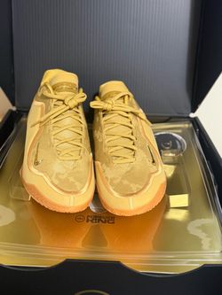 LeBron XXIII "Honor Society" 11.5 New sneakers shooes