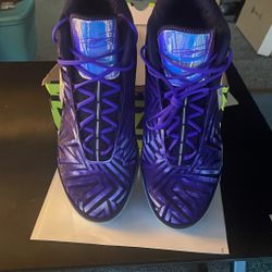 Brand New LBJ NXXT Genisus QS, Size 17