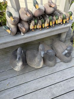 Duck & Goose Decoys