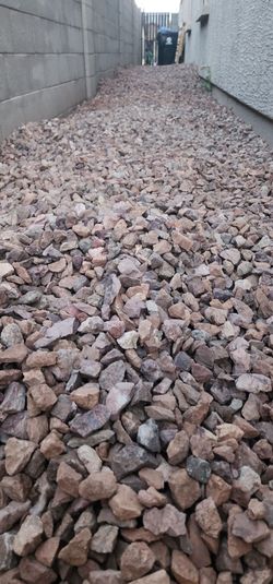 Free rocks ready to be picked up