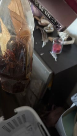 Ayahuasca for sale