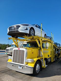 Are you in need of vehicle transport? Boats, Motorcycle, Live animals, Heavy equipment, Moving or others!
