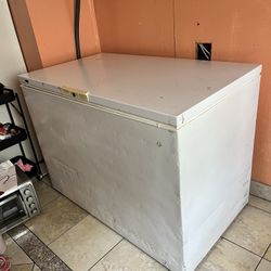 large storage freezer