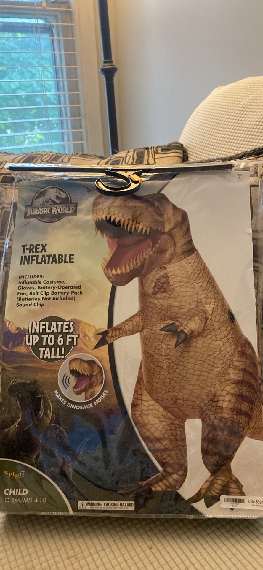 Inflatable Costume