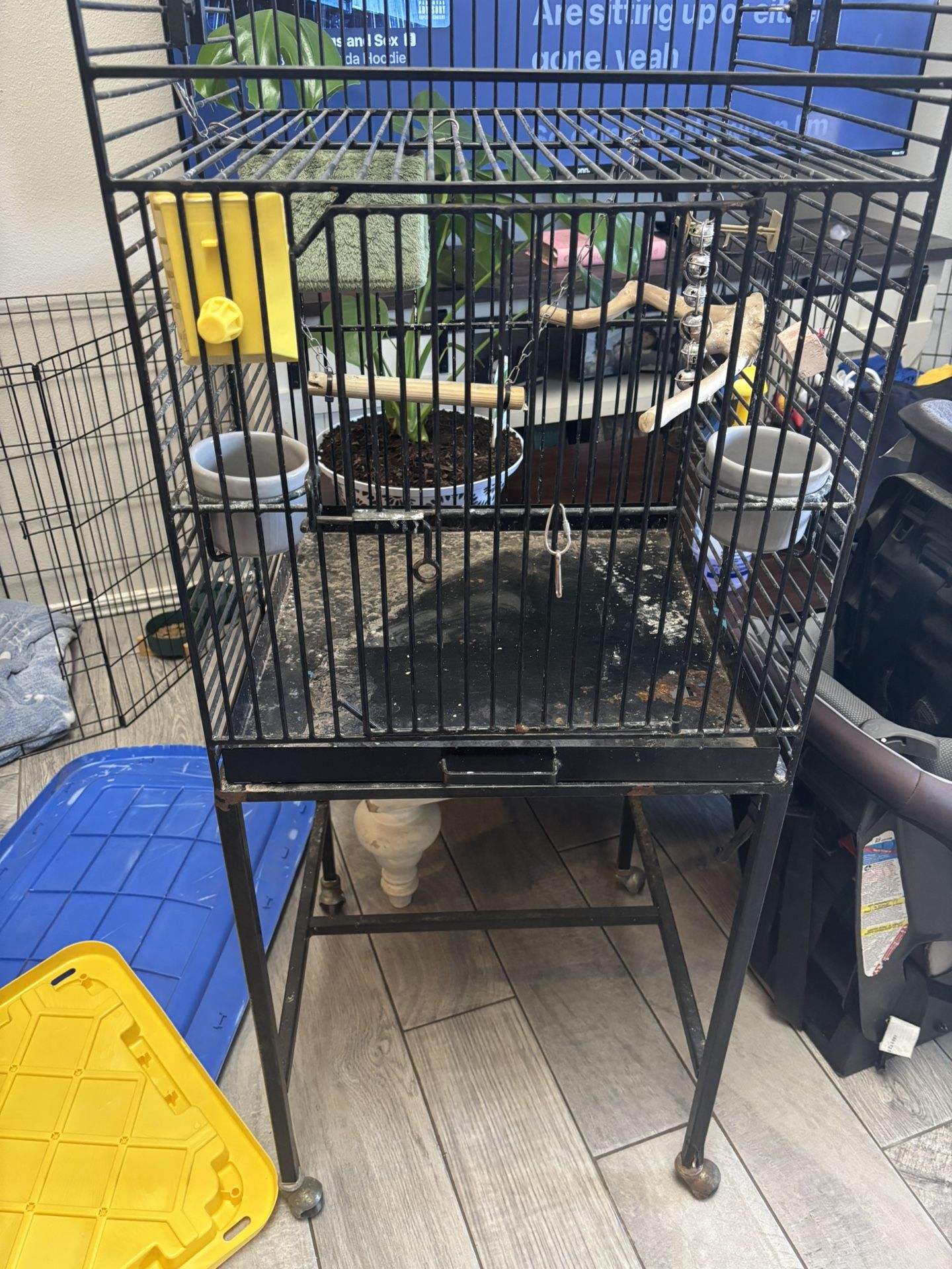 Bird Cage