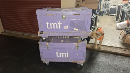 2 Large Crates w/ Foam Lining