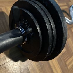 Weights And Barss 