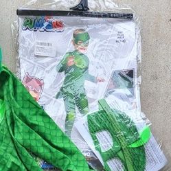 PJ Mask Gecko Costume