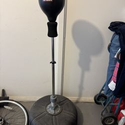 Ringside Punching Bag 