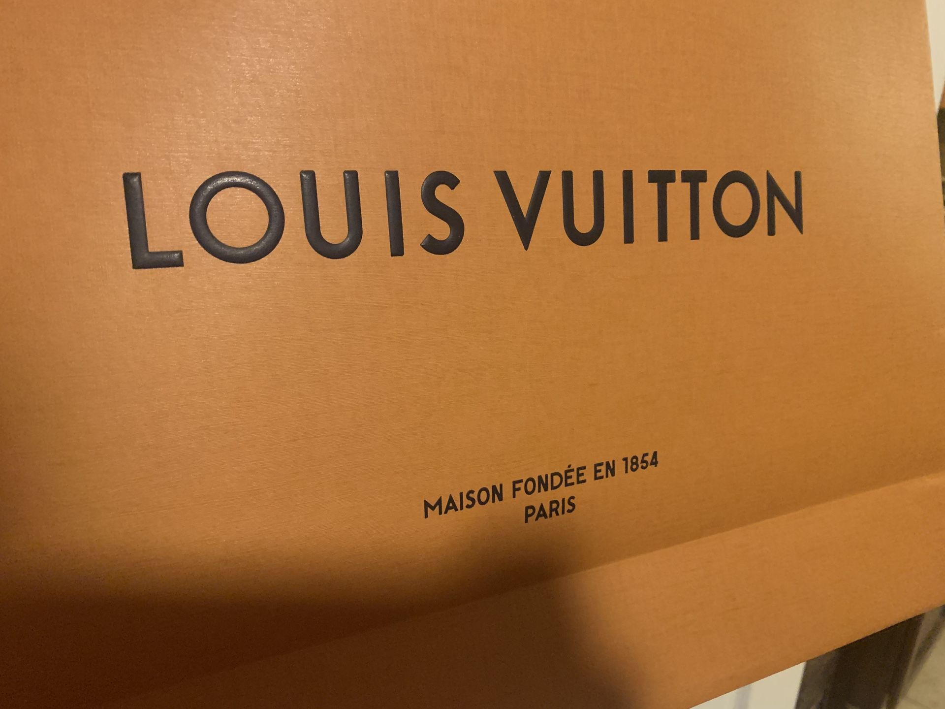 Louis Vuitton Authentic gift bag