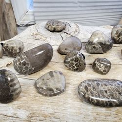 Petoskey Stone Drawer Pulls