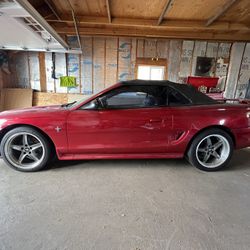 1998 Ford Mustang