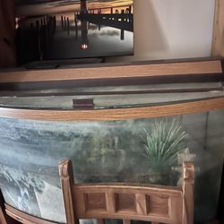 55 Gallon Fish Tank