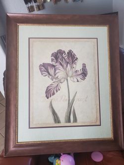 Frame