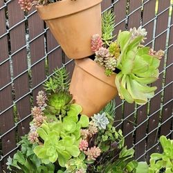 Large Tilted Succulent Pots #2
