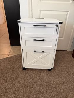 File cabinet / storage cabinet