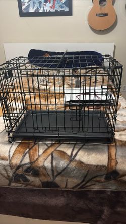 Dog Gage Have 2
