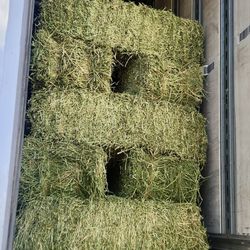 Alfalfa Hay / Pacas De Alfalfa